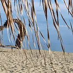 Diamond By The Sea