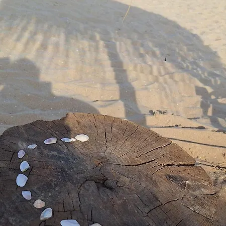 Diamond By The Sea דירה סבטי ולאס