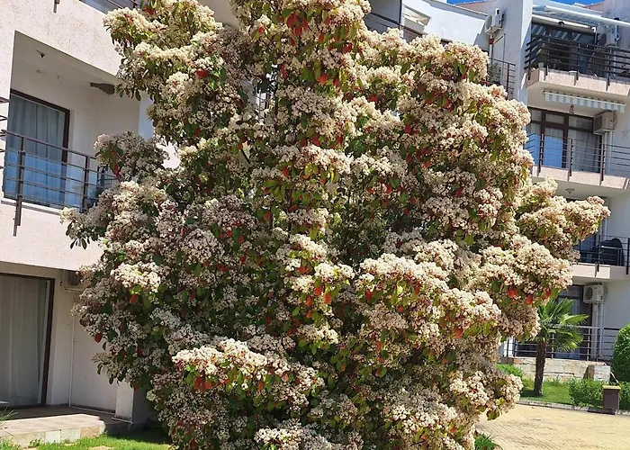 Diamond By The Sea Sveti Vlas